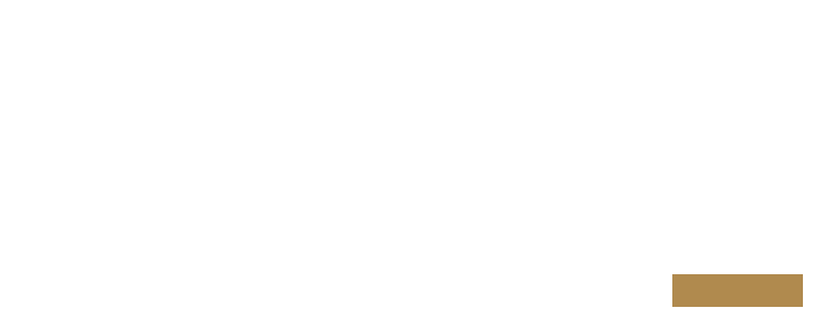 Levelhead Business Advisory